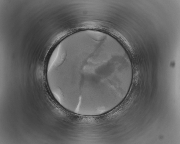 X0000116800882201001081332