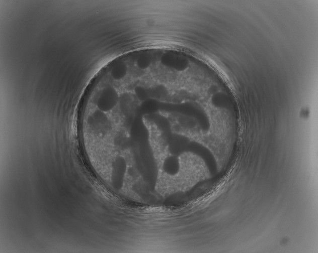 X0000116800883201001081332