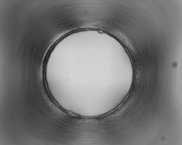 X0000116800884201001081332