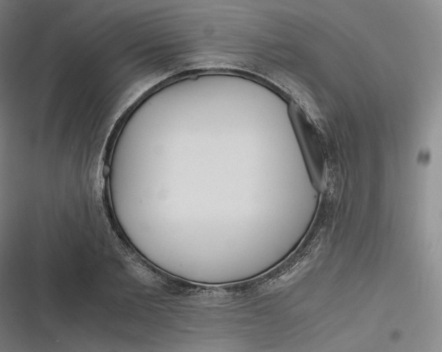 X0000116800885201001081332