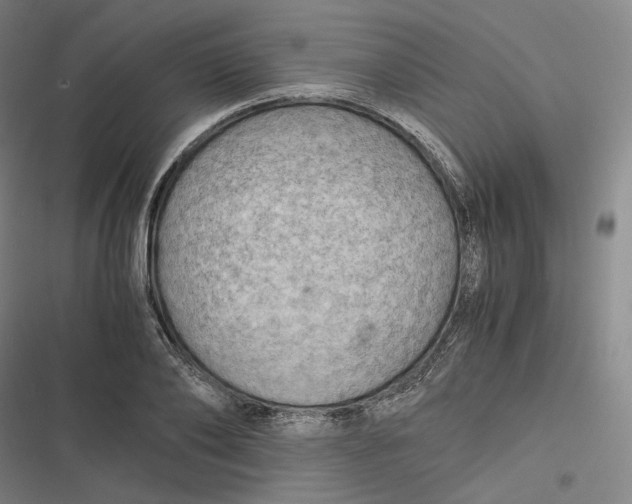 X0000116800886201001081332