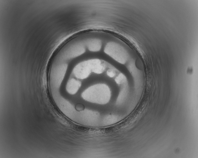 X0000116800887201001081332