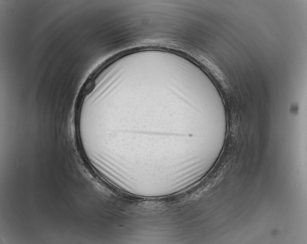 X0000116800888201001081332