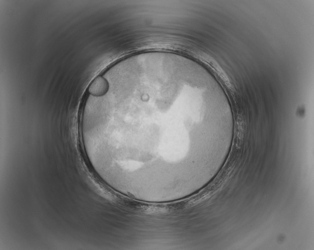 X0000116800890201001081332