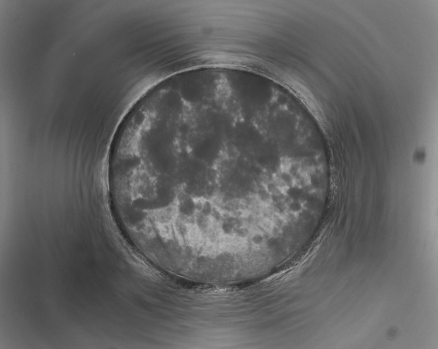 X0000116800891201001081332