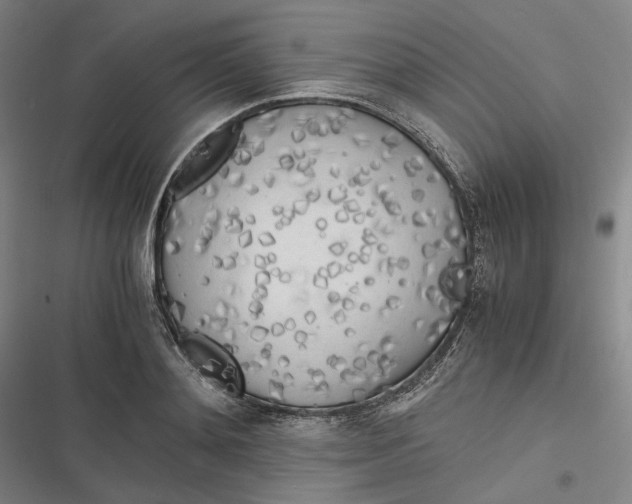 X0000116800892201001081332