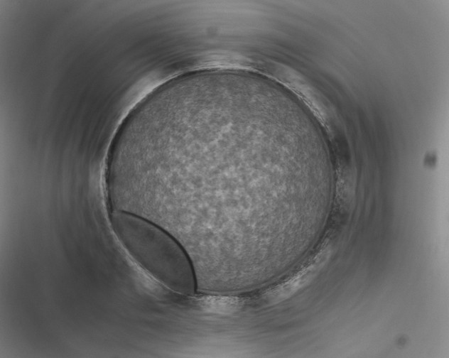 X0000116800893201001081332