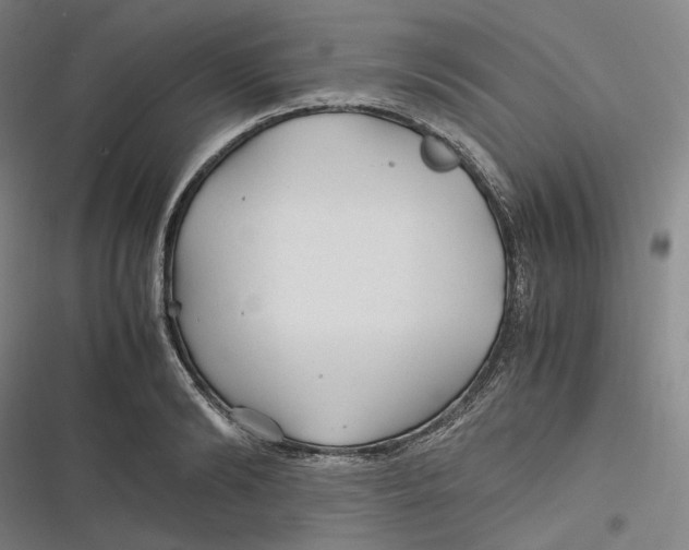 X0000116800894201001081332