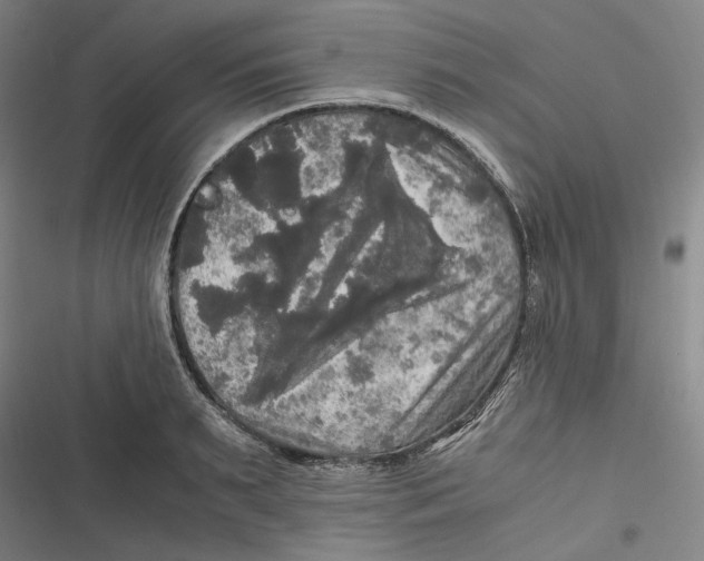 X0000116800895201001081332