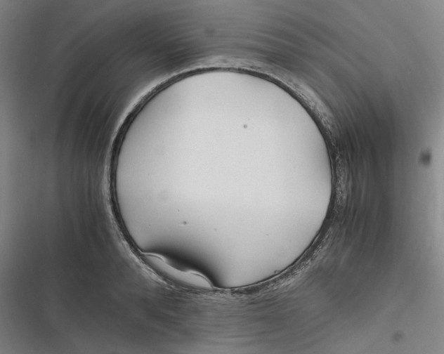 X0000116800896201001081332