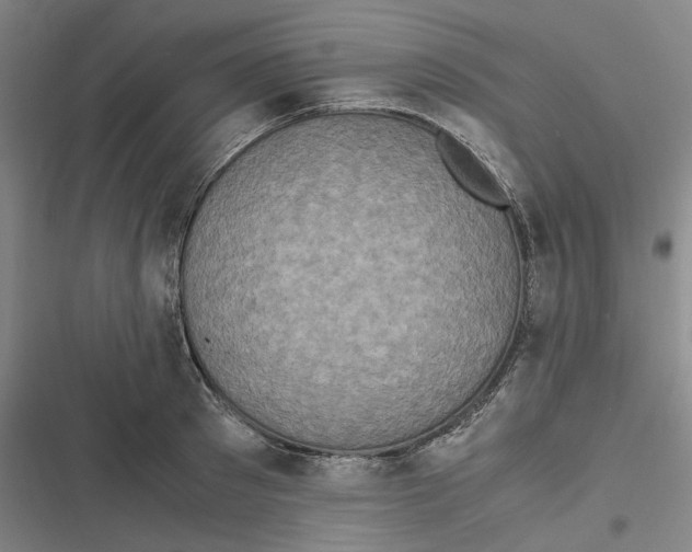 X0000116800897201001081332