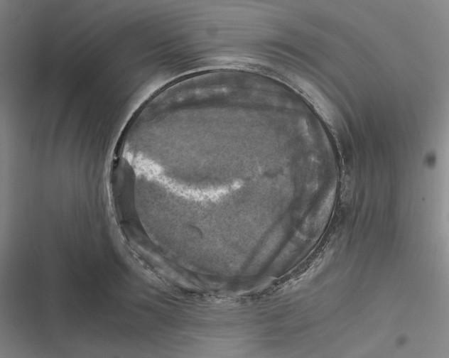 X0000116800899201001081332
