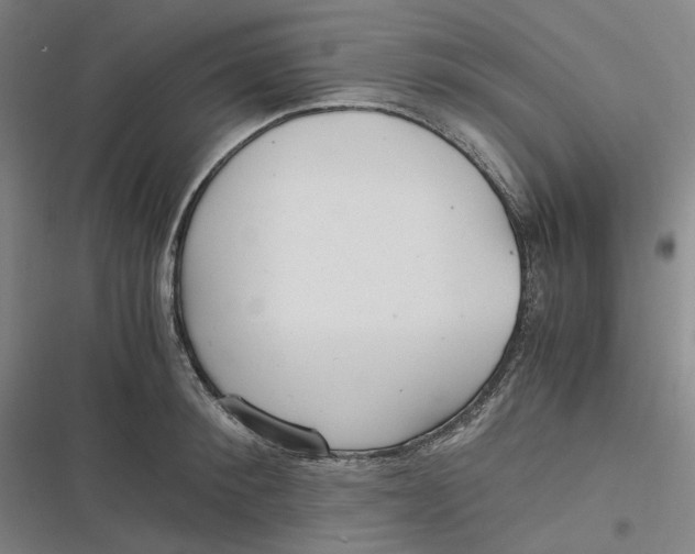 X0000116800900201001081332