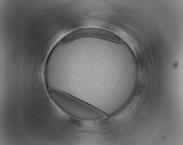 X0000116800901201001081332