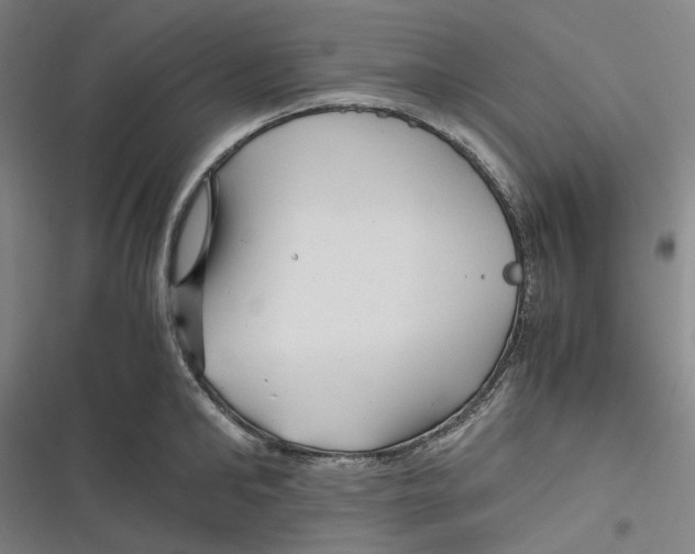 X0000116800902201001081332