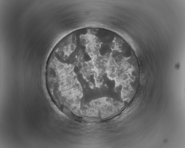 X0000116800903201001081332