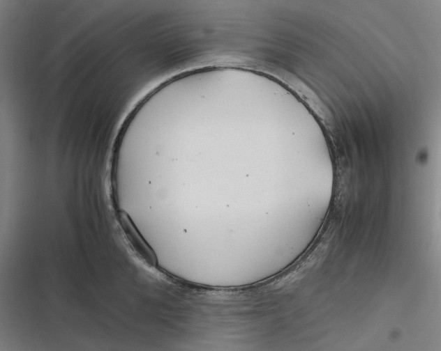 X0000116800904201001081332