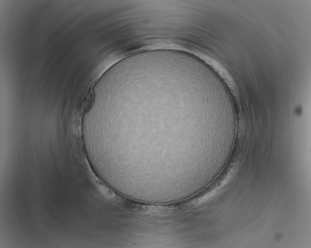 X0000116800905201001081332