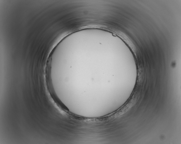 X0000116800906201001081332