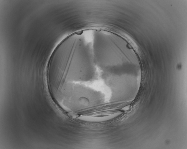 X0000116800907201001081332