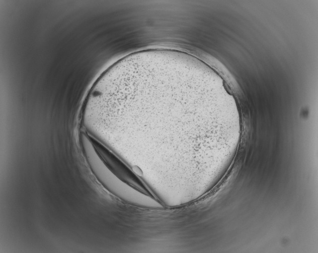 X0000116800908201001081332