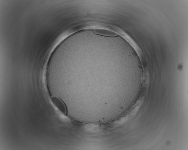 X0000116800909201001081332