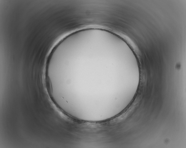 X0000116800910201001081332