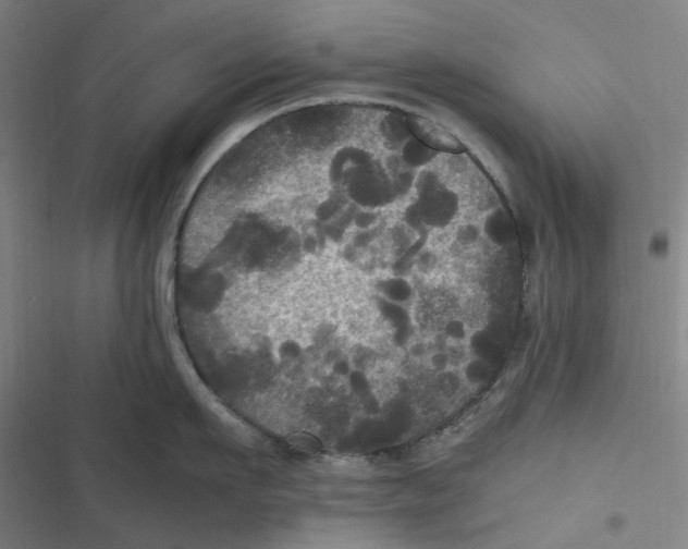 X0000116800911201001081332