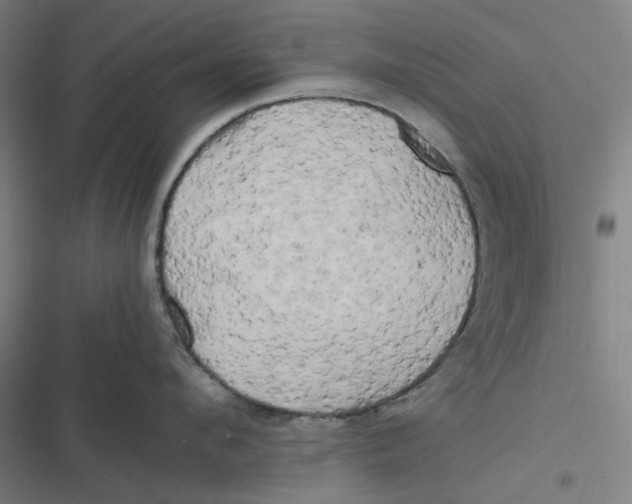 X0000116800912201001081332