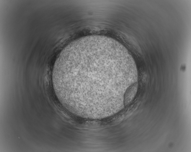 X0000116800914201001081331