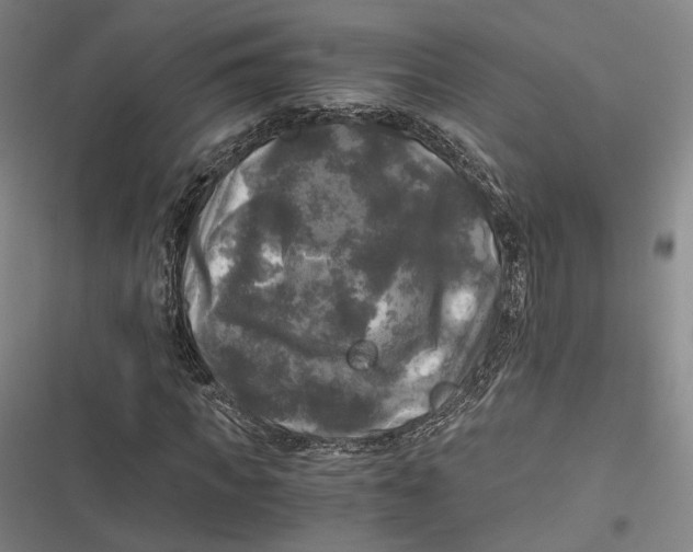 X0000116800917201001081331