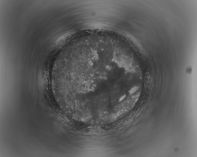 X0000116800918201001081331