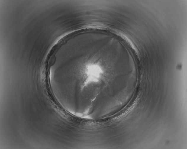 X0000116800923201001081331