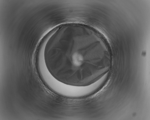 X0000116800925201001081331