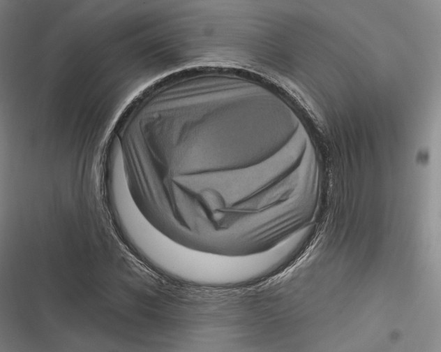 X0000116800926201001081331