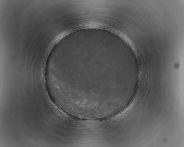 X0000116800930201001081331