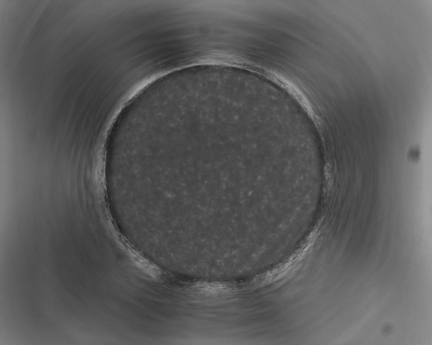 X0000116800931201001081331