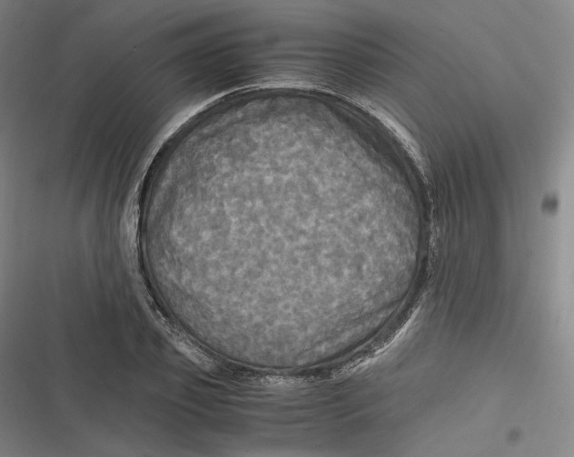 X0000116800933201001081331