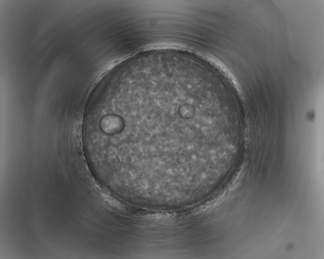 X0000116800937201001081331