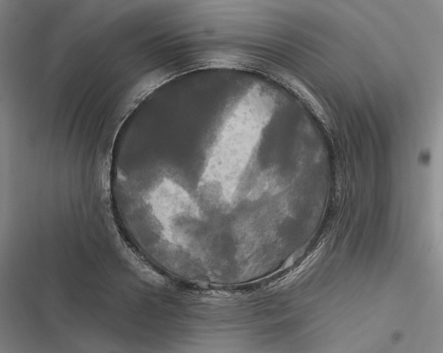 X0000116800938201001081331