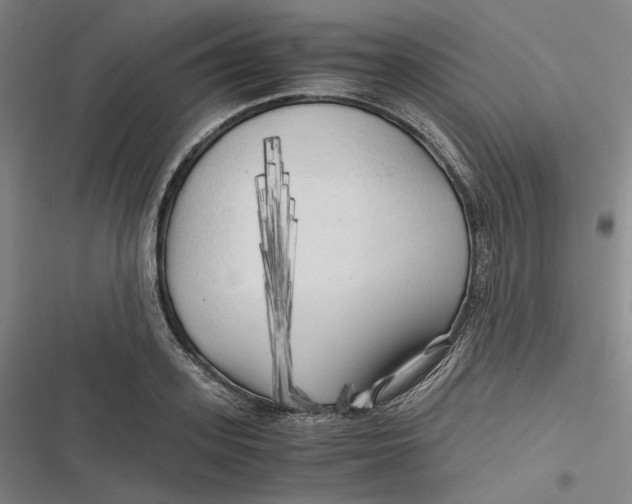 X0000116800939201001081331