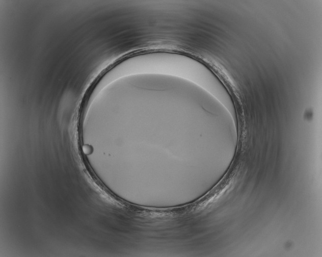 X0000116800941201001081331