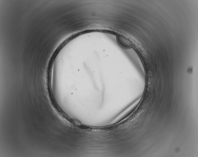 X0000116800942201001081331