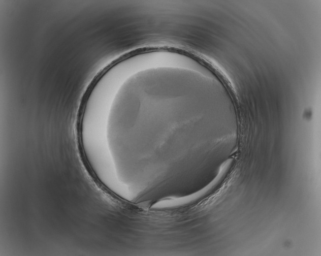 X0000116800943201001081331