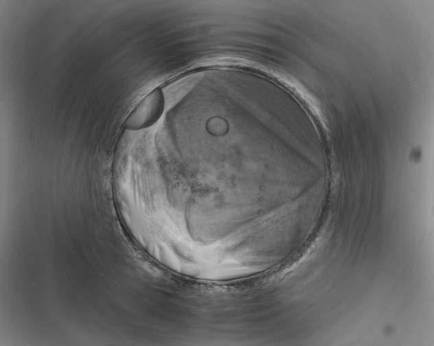 X0000116800945201001081331