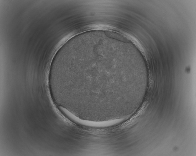 X0000116800946201001081331