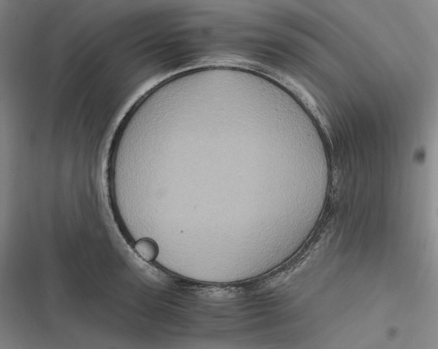 X0000116800947201001081331