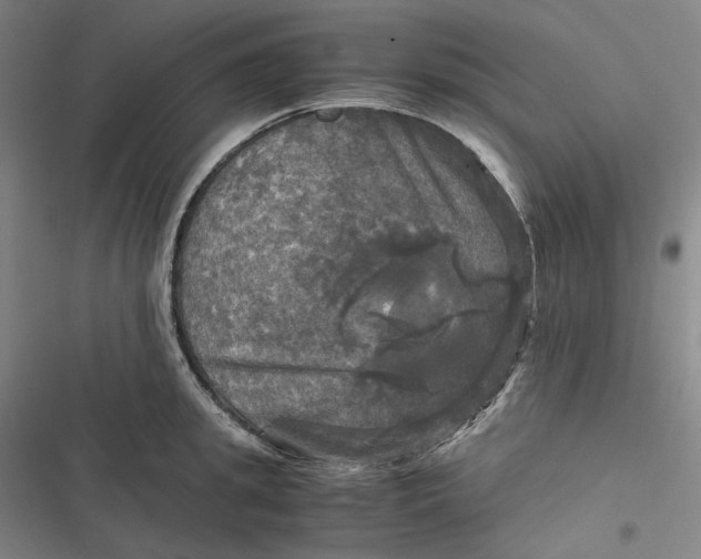 X0000116800949201001081331