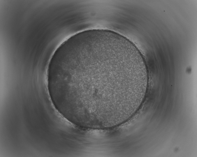 X0000116800950201001081331