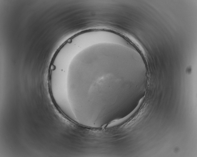 X0000116800951201001081331